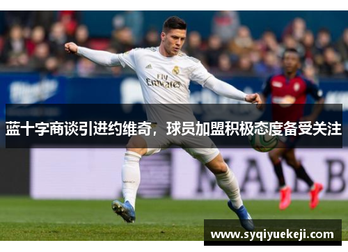 蓝十字商谈引进约维奇，球员加盟积极态度备受关注